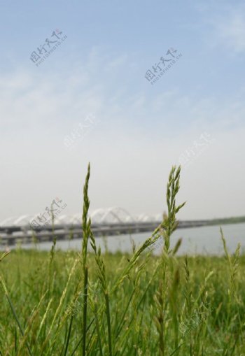 灞河特大桥图片