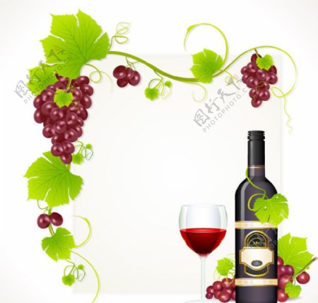 葡萄葡萄酒红酒背景图片