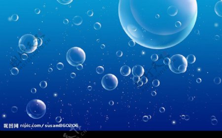 海洋水泡图片