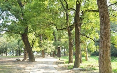 漳平市榉子洲公园图片