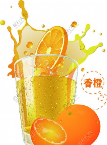 香橙水杯图片