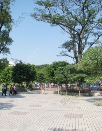 公园广场砖图片