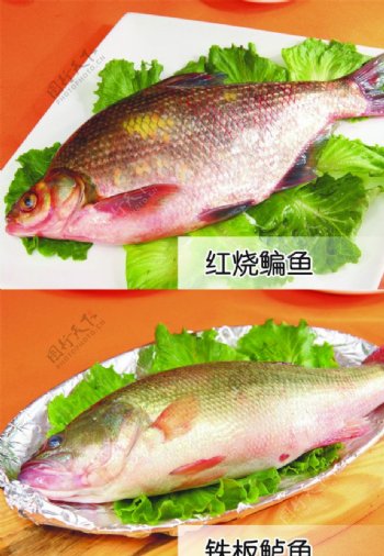 红烧鳊鱼图片
