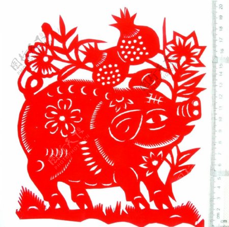 中国民间剪纸石榴猪图片