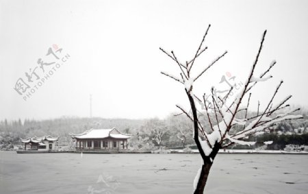 青云雪景图片