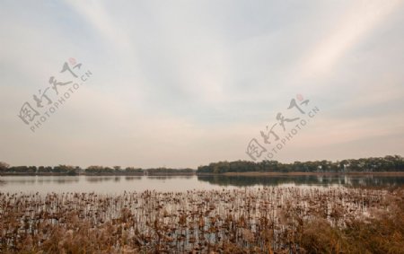 初冬的昆明湖图片