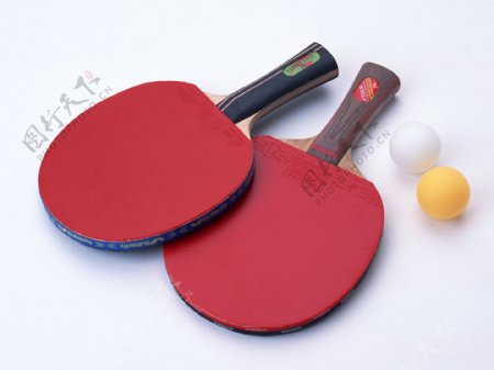 乒乓球运动图片