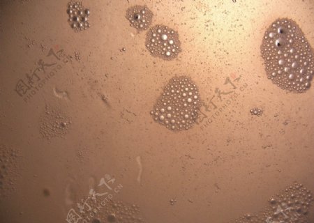微生物气泡群图片