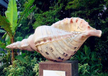 海螺雕塑图片