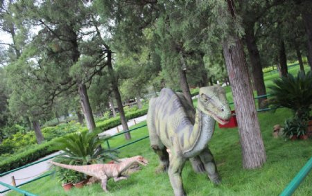 自贡恐龙图片