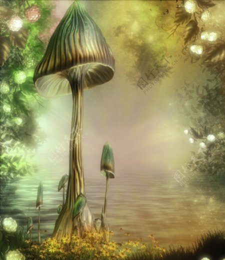 梦幻童话世界影楼背景蘑菇树花朵图片