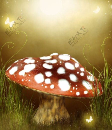 童话背景蘑菇图片