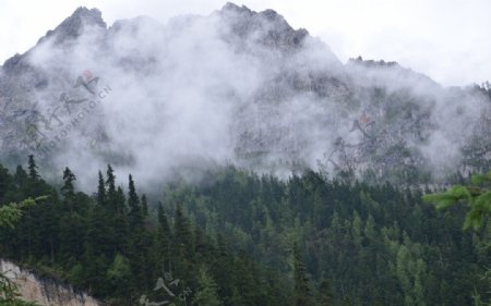 山中之雾图片