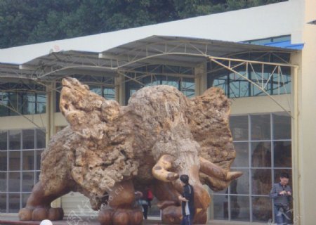 广西木雕大象图片