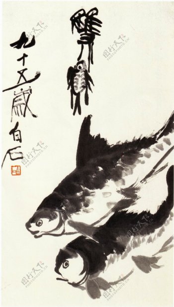 齐白石国画双鱼图片
