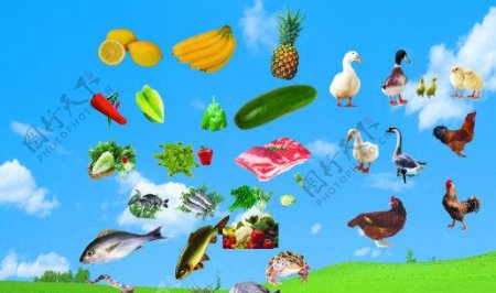 蔬菜水果动物图图片