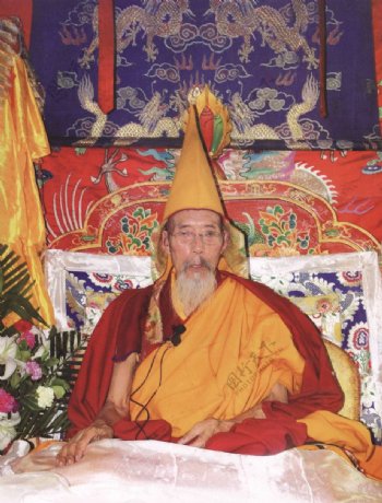 西藏日喀则班禅宗教扎什伦布寺信仰活佛12图片