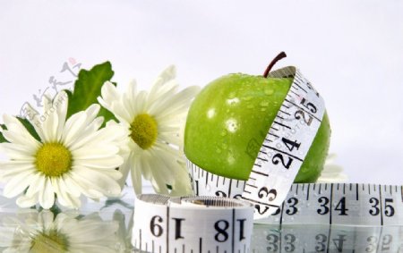 菊花苹果和标尺图片