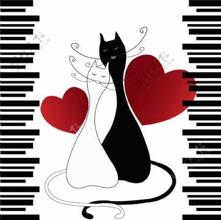 黑白猫咪情侣图片