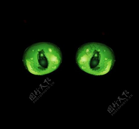 一对绿色猫眼图片