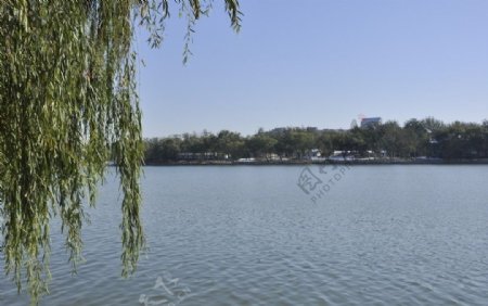 北京玉渊潭公园图片
