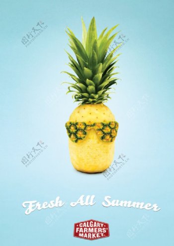 创意菠萝图片