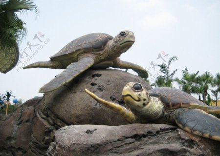 海龟雕塑图片
