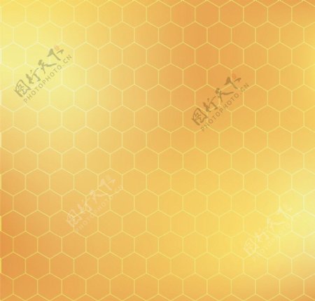 蜂巢背景图片