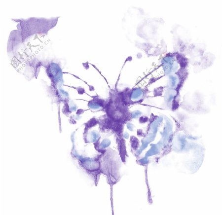水彩蝴蝶图片
