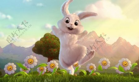 欢乐的兔子图片