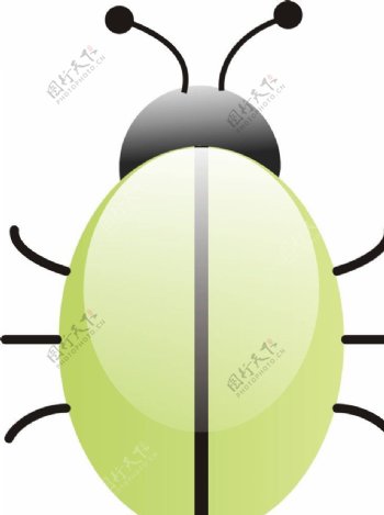 矢量图形爬行动物昆虫类甲壳虫图片