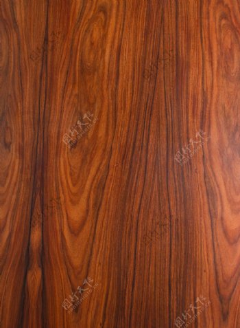 原木木材纹理摄影图片