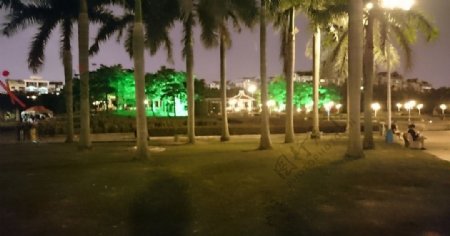 夜晚的公园图片