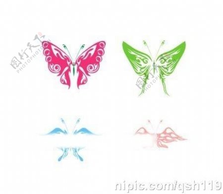 四款蝴蝶4图片