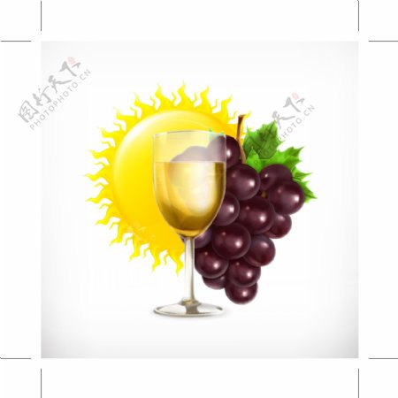 葡萄葡萄酒图片