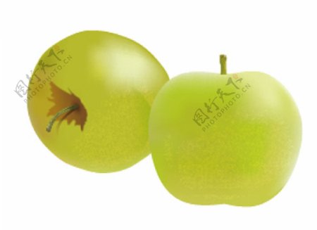 水果矢量图青苹果图片