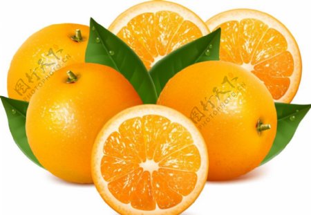 橙子桔子图片