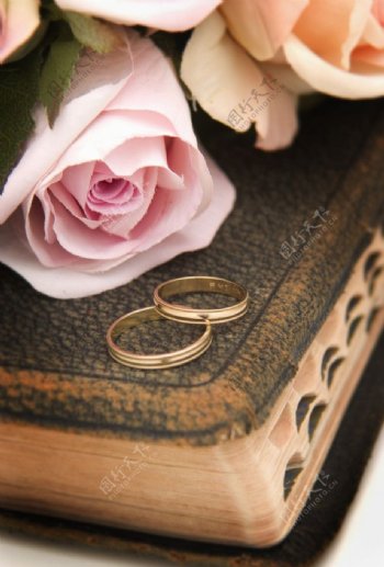 玫瑰圣经结婚戒指图片