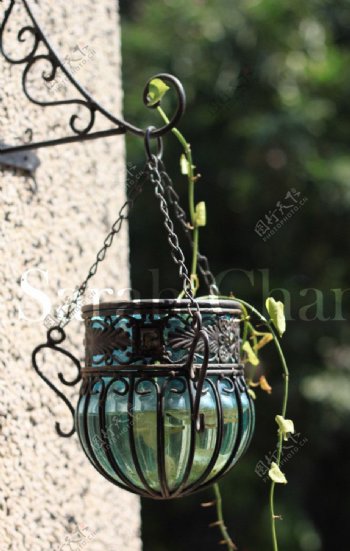 垂吊的复古玻璃花盆和绿色植物图片