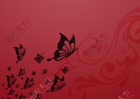 蝴蝶背景图图片
