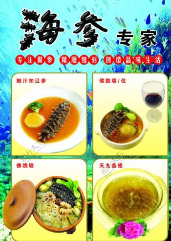 海参菜品展示图片