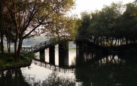 木桥横渡图片