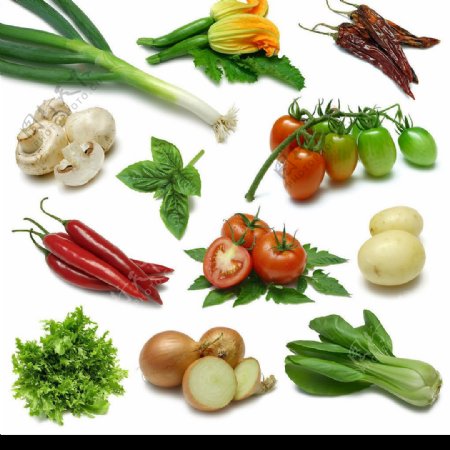 各类蔬菜图片