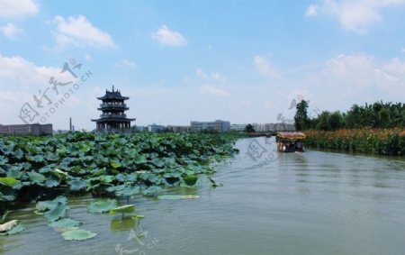 东莞麻涌华阳湖湿地公园图片