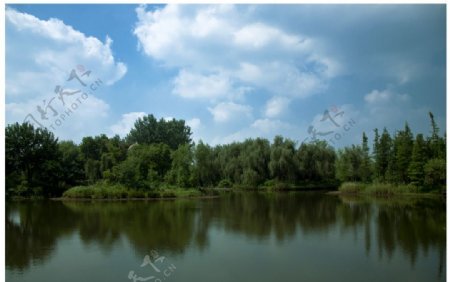 七桥翁湿地公园图片
