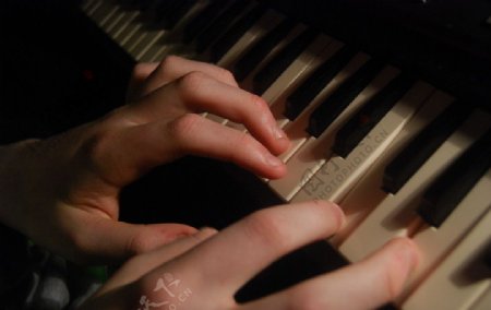 钢琴初学者的手势图片