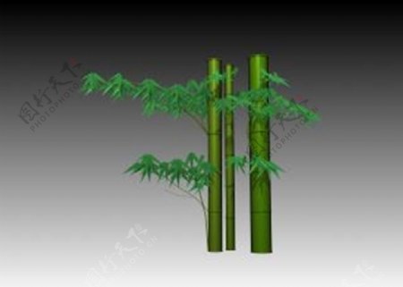 竹子3D模型图片