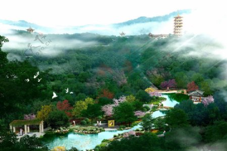 梅子山公园锦鲤园图片
