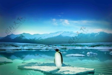 冰上的企鹅分层不精细图片