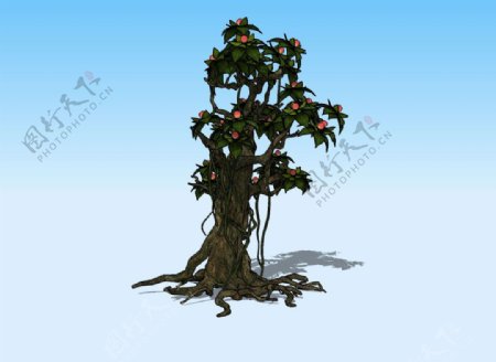 果树3D模型图片
